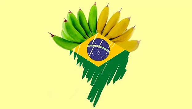 O desenvolvimento como régua