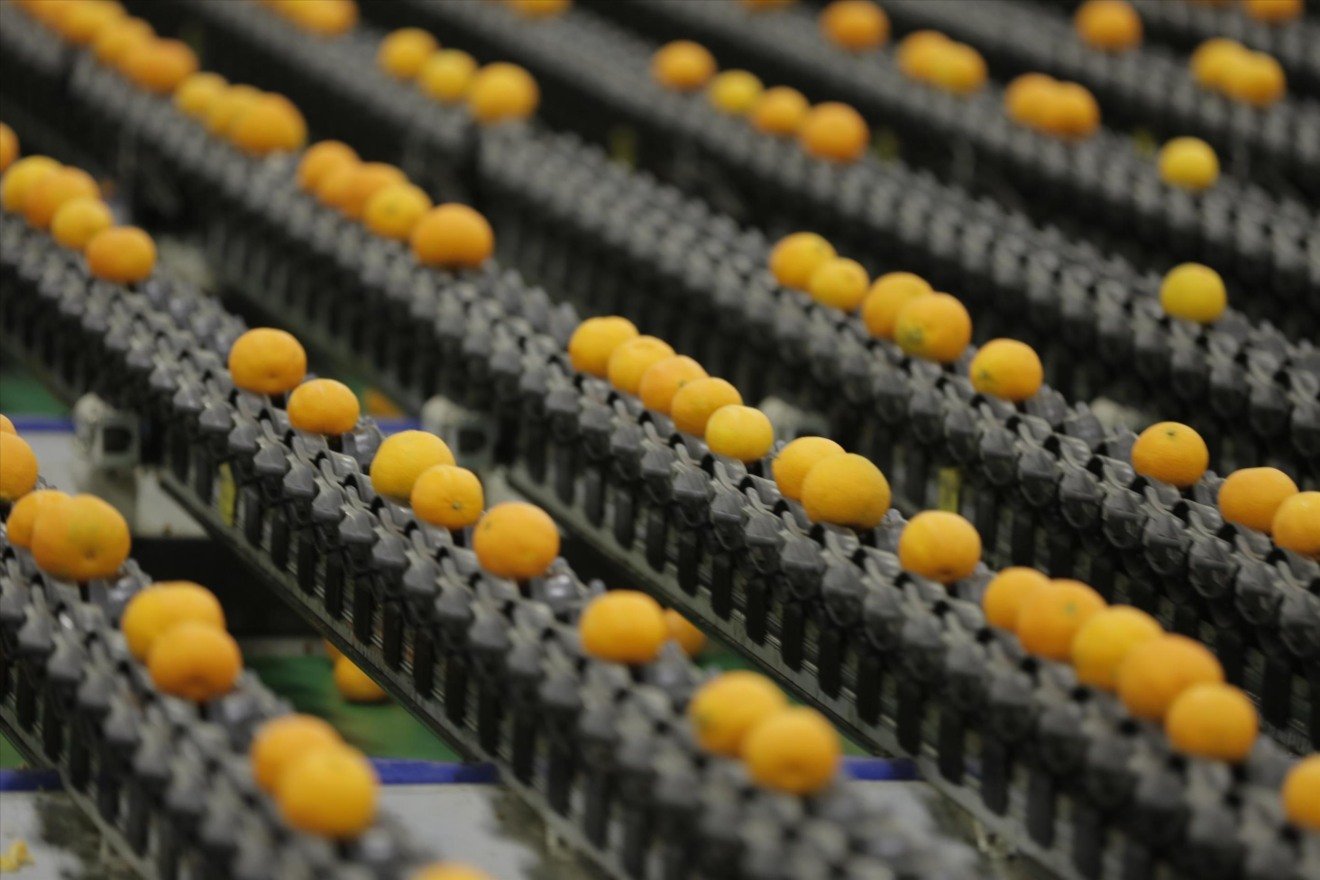 TOMRA FOOD promove reestruturação no mercado brasileiro