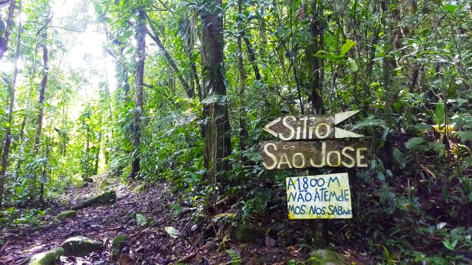 Agrofloresta em Paraty – A incrível história do Sítio São José