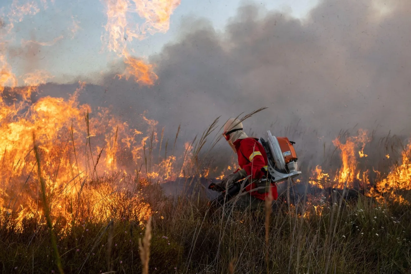 Desafios climáticos locais, soluções globais 