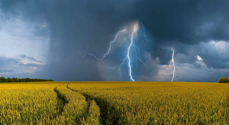 Washington Novaes: O clima esquenta, a agropecuária sofre