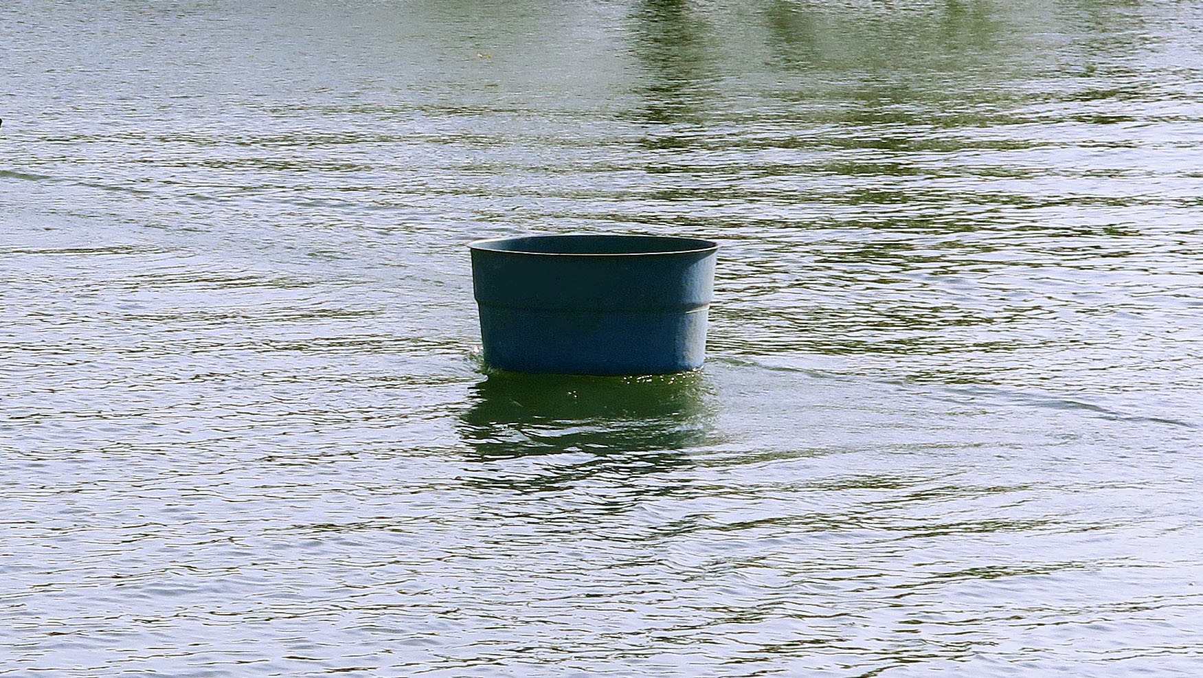 Moradores da região com mais água doce do planeta encontram solução coletiva para ter abastecimento em casas e escolas