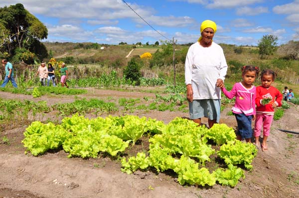 Que faremos com a terra? E com quem está sobre ela?