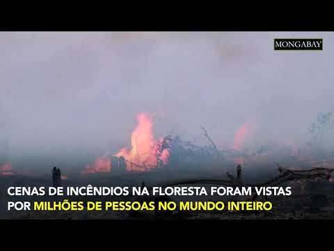 No Pará, cientistas e ribeirinhos trabalham juntos para reduzir os estragos do fogo