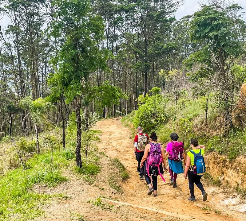 São Paulo lança trilha que conecta áreas de proteção ambiental
