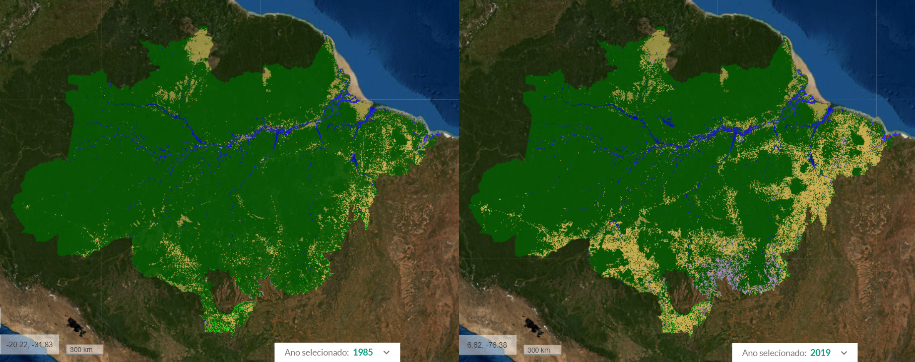 Ataques aos Yanomamis. O que essa invasão tem a ver com você